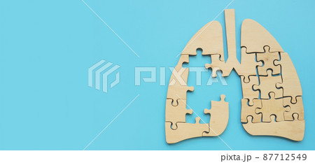 Lung from puzzle pieces with a hole symbolizing the disease. Lung from puzzle pieces with a hole symbolizing the disease. 87712549
