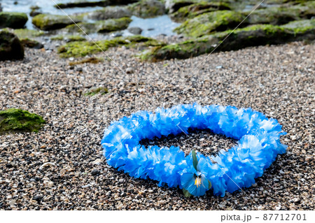 創作雑貨 ハワイアンレイ 岩 海岸 手作り 創作雑貨 ハワイアンレイ 岩 海岸 手作り 87712701