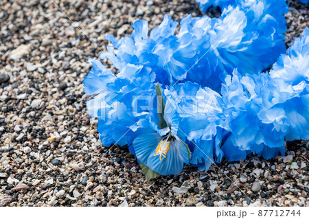 創作雑貨 ハワイアンレイ 岩 海岸 手作り 創作雑貨 ハワイアンレイ 岩 海岸 手作り 87712744