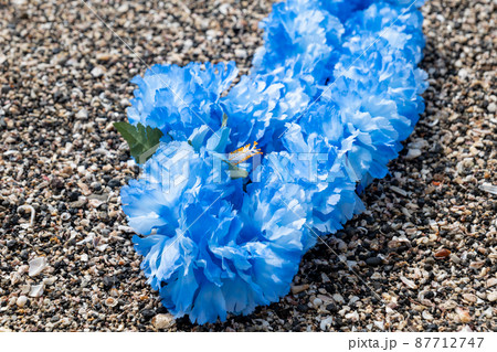 創作雑貨　ハワイアンレイ　岩　海岸　手作り 87712747