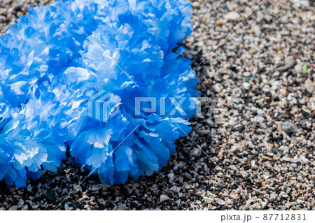 創作雑貨 ハワイアンレイ 岩 海岸 手作り ブルー ブルーレイ blue 創作雑貨 ハワイアンレイ 岩 海岸 手作り ブルー ブルーレイ blue 87712831