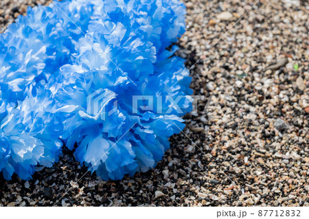 創作雑貨　ハワイアンレイ　岩　海岸　手作り　ブルー　ブルーレイ　blue 87712832