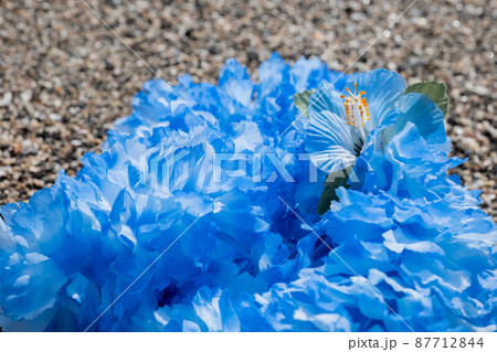 創作雑貨 ハワイアンレイ 岩 海岸 手作り ブルー ブルーレイ blue 創作雑貨 ハワイアンレイ 岩 海岸 手作り ブルー ブルーレイ blue 87712844