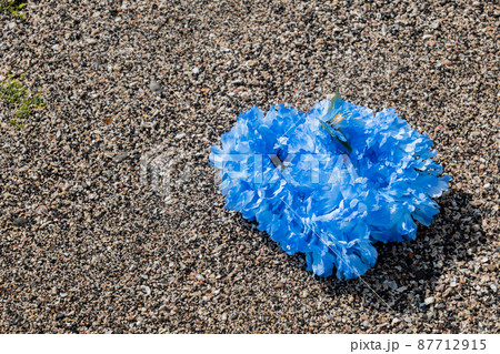 創作雑貨 ハワイアンレイ 岩 海岸 手作り ブルー ブルーレイ blue 創作雑貨 ハワイアンレイ 岩 海岸 手作り ブルー ブルーレイ blue 87712915