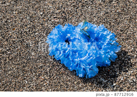 創作雑貨 ハワイアンレイ 岩 海岸 手作り ブルー ブルーレイ blue 創作雑貨 ハワイアンレイ 岩 海岸 手作り ブルー ブルーレイ blue 87712916