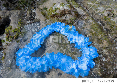 創作雑貨 ハワイアンレイ 岩 海岸 手作り ブルー ブルーレイ blue 創作雑貨 ハワイアンレイ 岩 海岸 手作り ブルー ブルーレイ blue 87712939