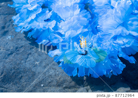 創作雑貨 ハワイアンレイ 岩 海岸 手作り ブルー ブルーレイ blue 創作雑貨 ハワイアンレイ 岩 海岸 手作り ブルー ブルーレイ blue 87712964