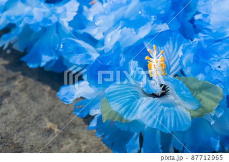 創作雑貨 ハワイアンレイ 岩 海岸 手作り ブルー ブルーレイ blue 創作雑貨 ハワイアンレイ 岩 海岸 手作り ブルー ブルーレイ blue 87712965