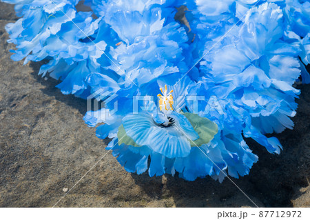 創作雑貨 ハワイアンレイ 岩 海岸 手作り ブルー ブルーレイ blue 創作雑貨 ハワイアンレイ 岩 海岸 手作り ブルー ブルーレイ blue 87712972