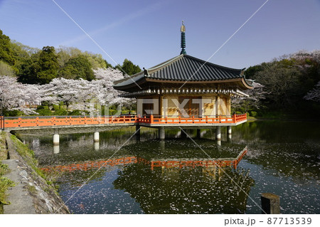 安倍文珠院春景色　桜満開の頃 87713539