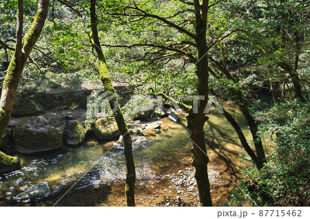 《島根県》県立自然公園 鬼の舌震の風景【4月】 87715462