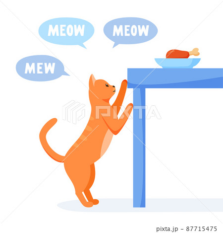 Cat asks for food from table and meows a lot. Pet bags for food. Cat steals from dinner table. Flat style vector  87715475