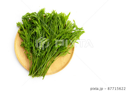 Leucaena leucocepphala on white background. 87715622