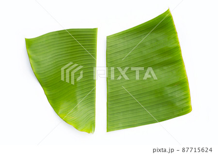 Banana leaves on white background 87715624