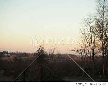 ハートフィールドの夕焼けに染まる林 ハートフィールドの夕焼けに染まる林 87715755