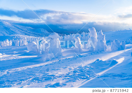 樹氷と青空（宮城蔵王） 87715942