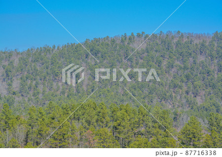 The Ouachita National Forest at Broken Bow, McCurtain County, Oklahoma  87716338