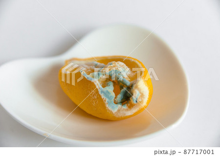 Cut lemon on a white dish with mold, spoiled. Cut lemon on a white dish with mold, spoiled. 87717001