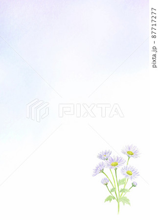 透明水彩で描く紫の菊のはがきテンプレート 87717277