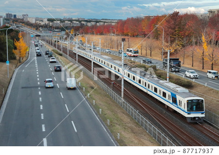紅葉の中整然と並んで走る自動車たちと泉北高速鉄道の電車_2021/11/27撮影 87717937