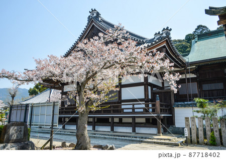 春の橘寺（奈良） 87718402