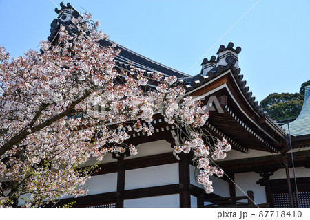 春の橘寺（奈良） 87718410