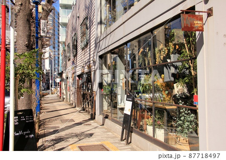 青山キラー通り 青山キラー通り 87718497