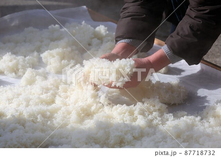 日本酒仕込み 87718732