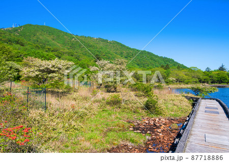赤城公園　覚満淵　地蔵岳　遊歩道からの眺め　初夏の風景　　　 87718886