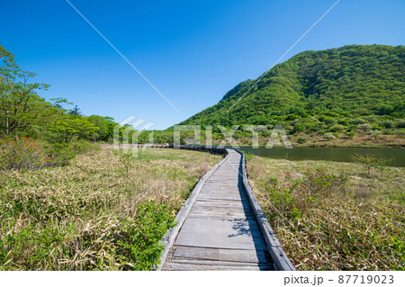 赤城公園　覚満淵　木道　遊歩道からの眺め　　初夏の風景　　　 87719023