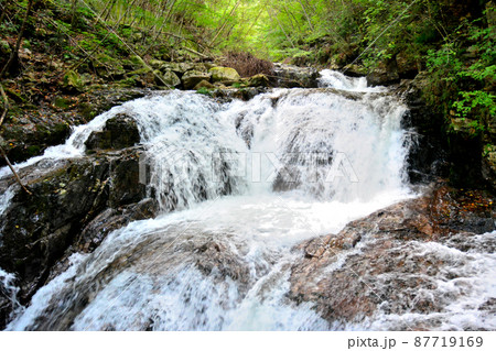 一ノ瀬川、竜喰谷の流れ込み 一ノ瀬川、竜喰谷の流れ込み 87719169