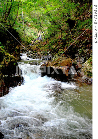 一ノ瀬川の流れ 一ノ瀬川の流れ 87719353