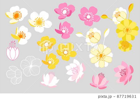 春 花 植物 87719631