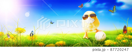 Little cute baby chick with mask at corona virus time. 87720247