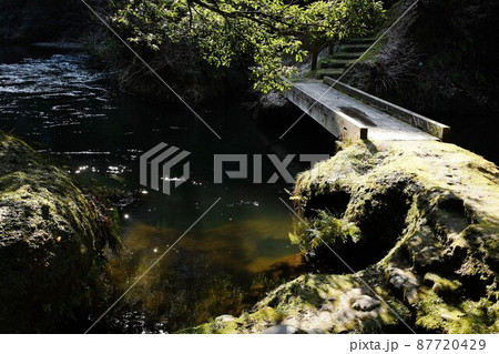 新緑の渓と古い木橋 87720429