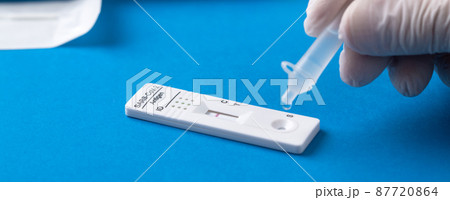 Negative test result by using rapid test device for COVID-19. 87720864