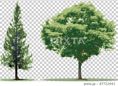 木・樹木 針葉樹セットのイラスト素材 [87722041] - PIXTA