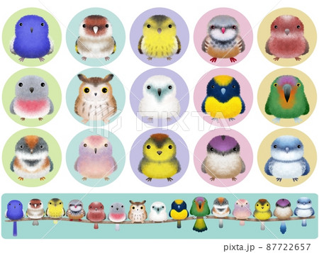 フワフワ鳥シリーズB 背景付き 87722657