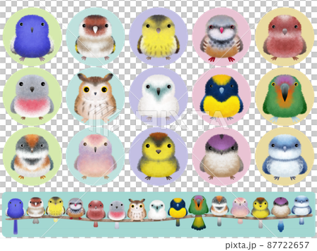 フワフワ鳥シリーズB 背景付き 87722657