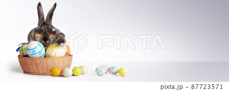 Funny Easter bunny. Happy Easter holiday concept. 87723571