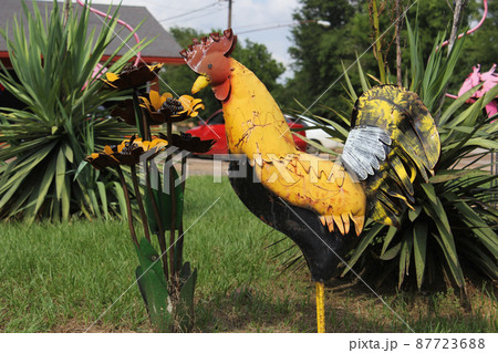 Small Southwestern Style Garden With Rooster Decoration 87723688
