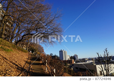 公園 公園 87724846