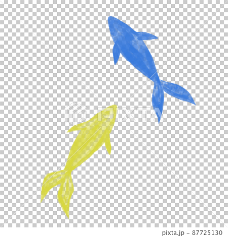 Illustration material Goldfish drawn in watercolor Yellow and blue Illustration material Goldfish drawn in watercolor Yellow and blue 87725130