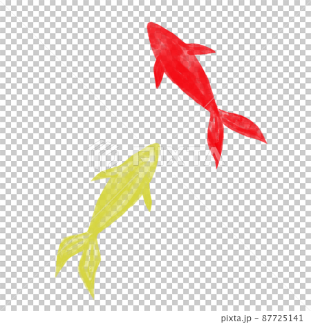 Illustration material Goldfish drawn in watercolor Red and yellow Illustration material Goldfish drawn in watercolor Red and yellow 87725141