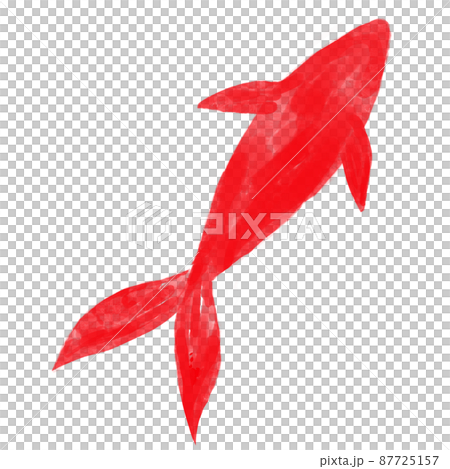 用水彩紅畫的插圖素材金魚 87725157