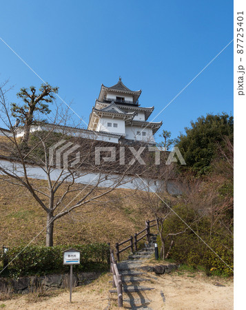 掛川城二の丸から見上げる天守 87725401