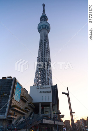 東京スカイツリー 夜明け 東京スカイツリー 夜明け 87725870