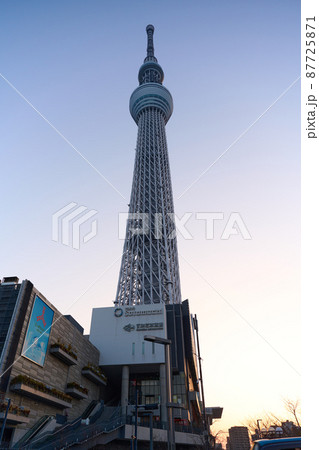 東京スカイツリー 夜明け 東京スカイツリー 夜明け 87725871