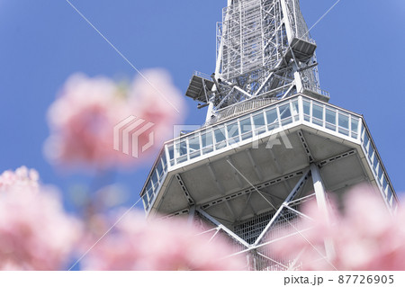 中部電力 MIRAI TOWER (名古屋テレビ塔)と河津桜 中部電力 MIRAI TOWER (名古屋テレビ塔)と河津桜 87726905