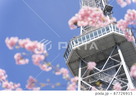 中部電力 MIRAI TOWER (名古屋テレビ塔)と河津桜 中部電力 MIRAI TOWER (名古屋テレビ塔)と河津桜 87726915